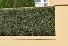 Boonargahard-landscaping-surfaces-8.jpg; ?>